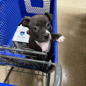 Meet your Posher, Rachel